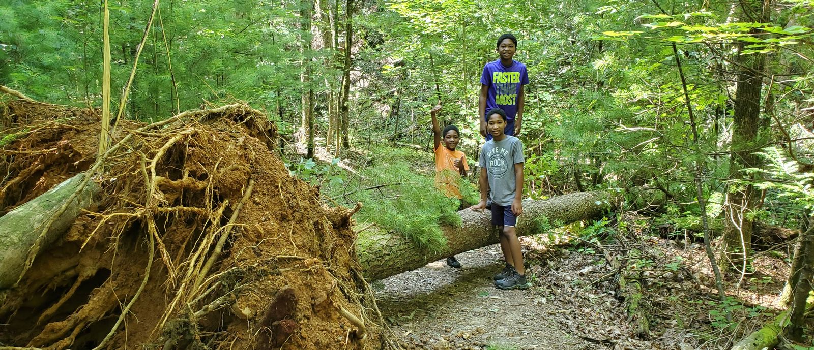 Sims boys hiking in Unicoi State Park