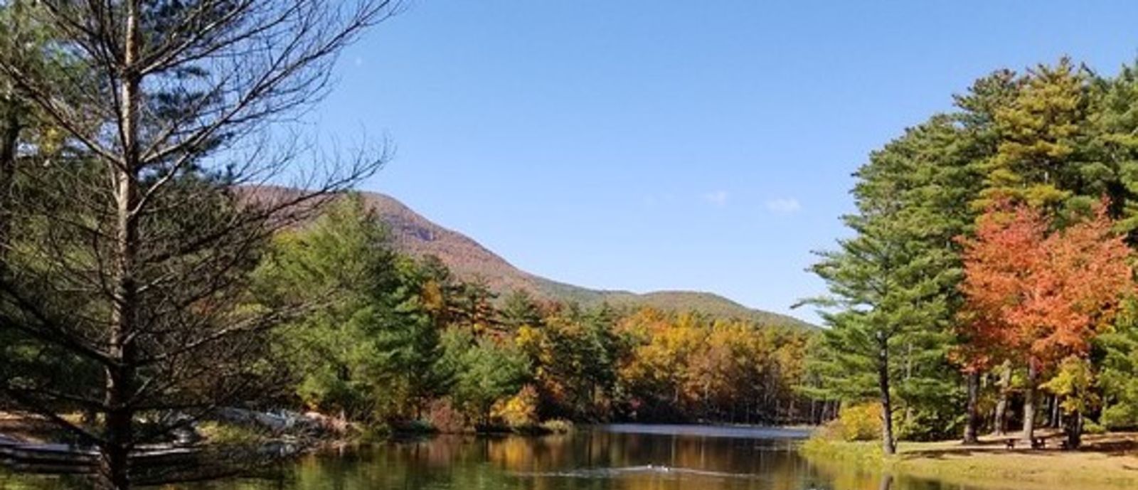 NY