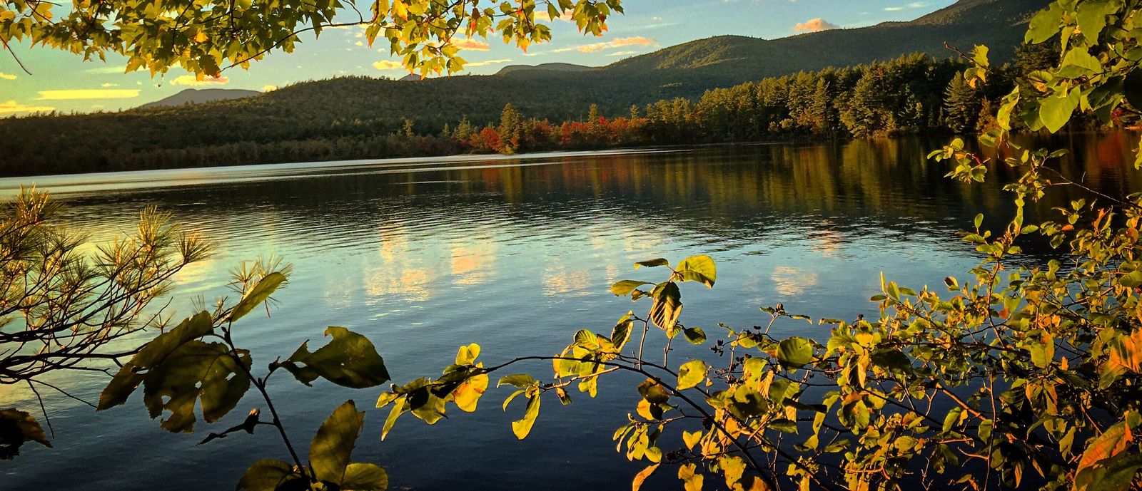 NH