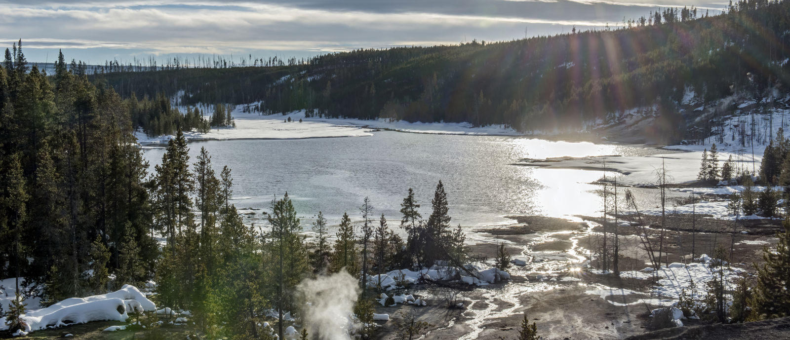 Winter Landscape