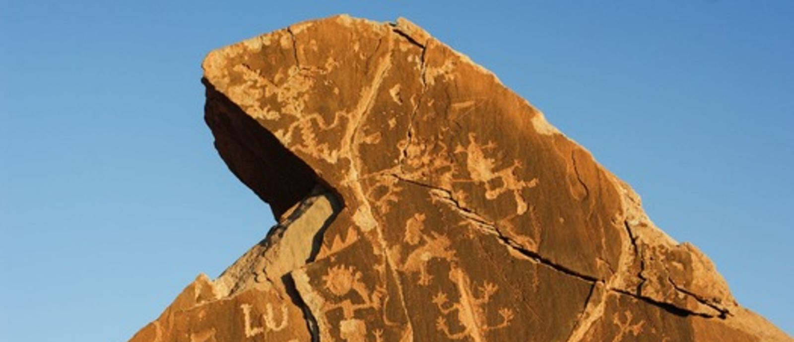 Petroglyphs, Petrified Forest.jpg