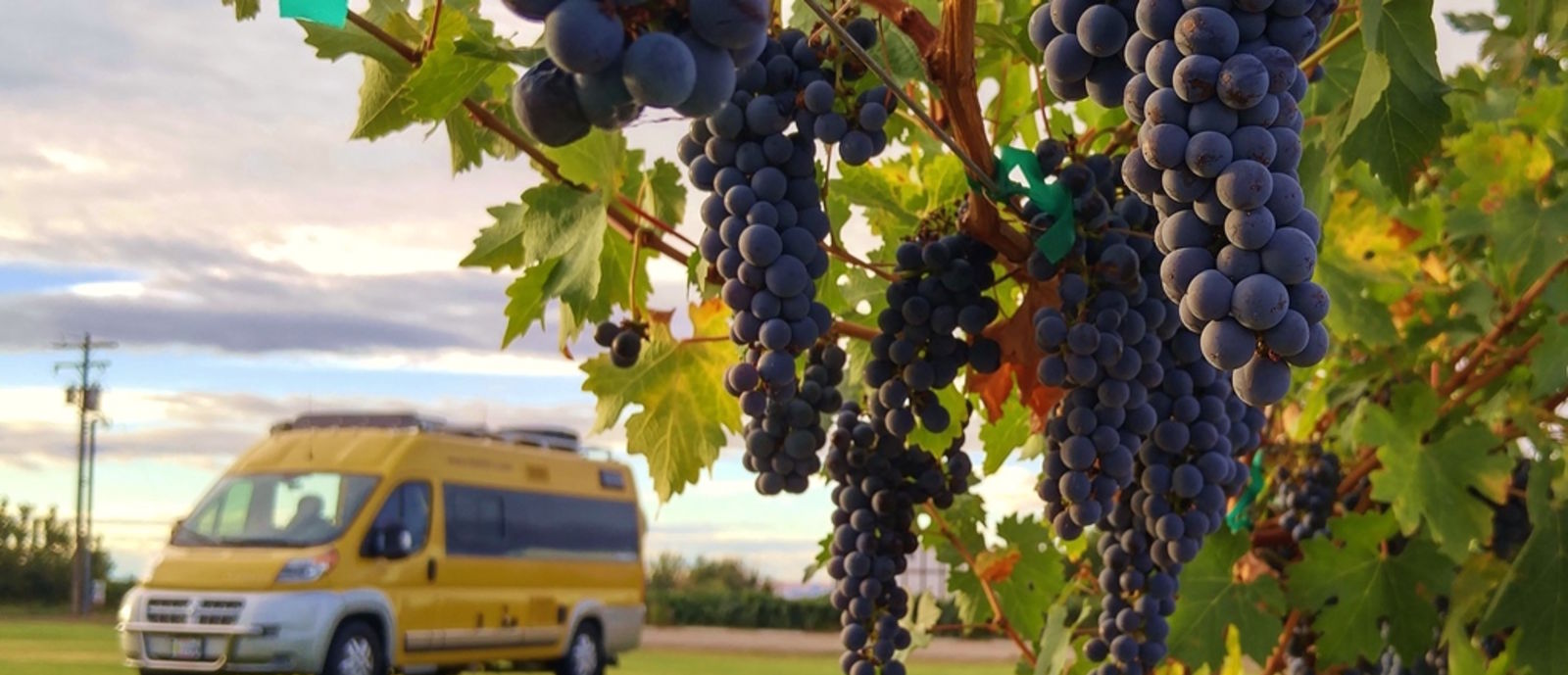 Harvest Hosts