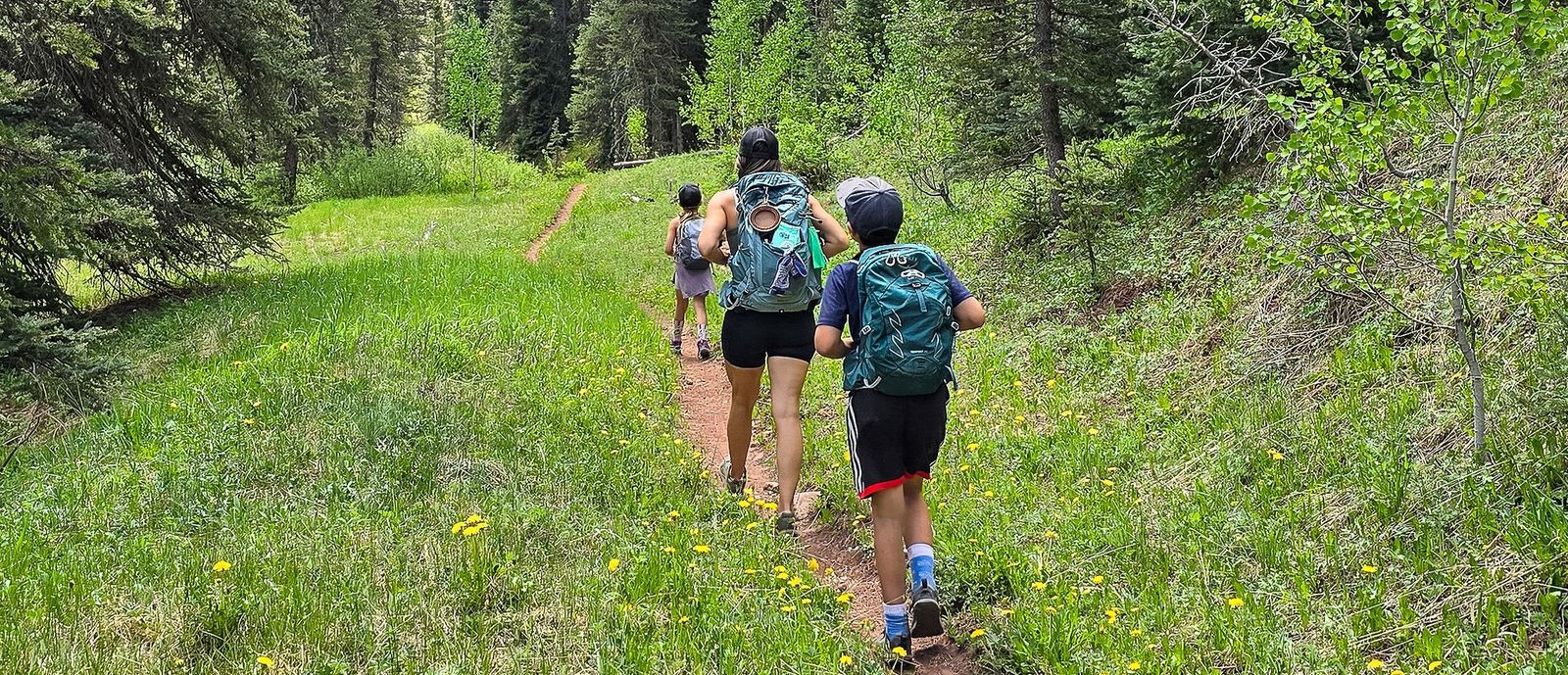 Bronneke family hiking in the woods