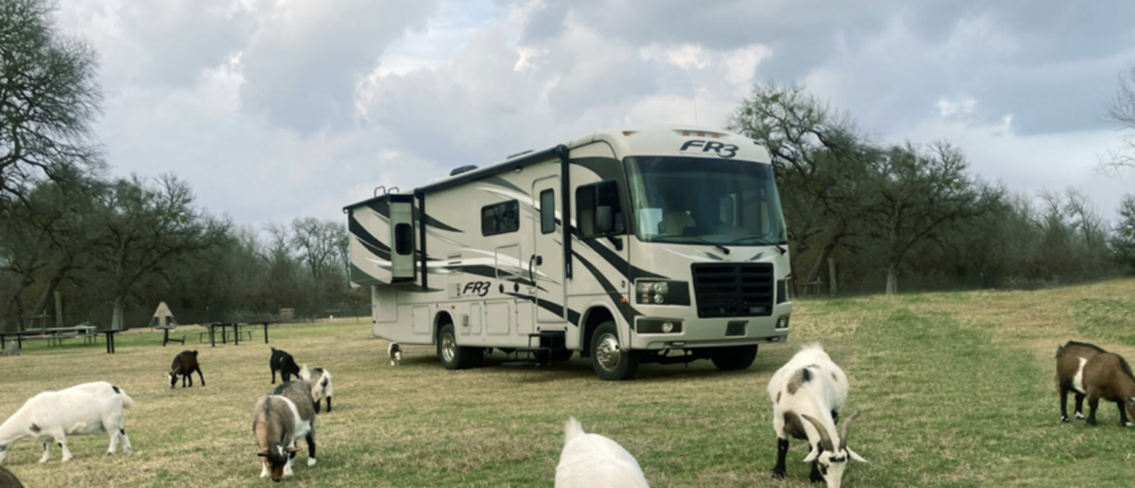 RV and goats