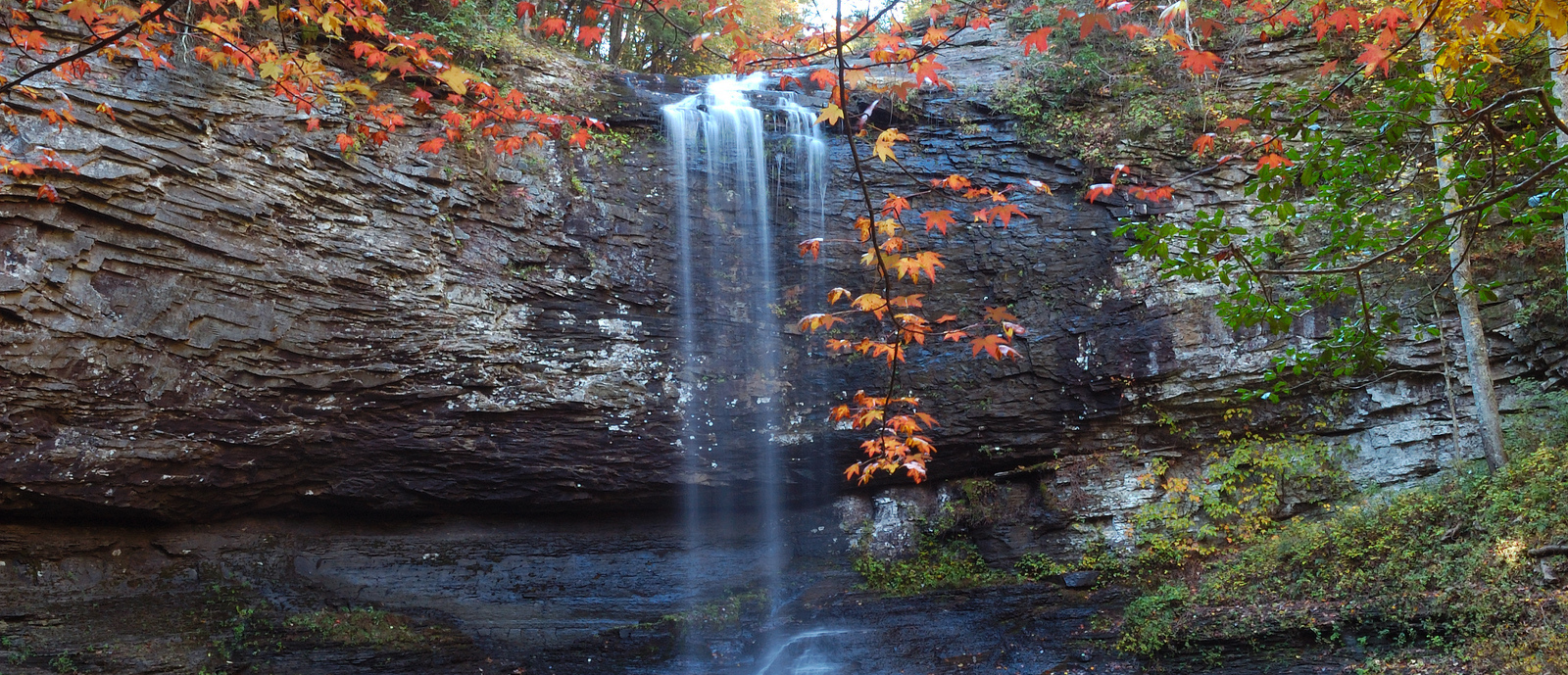 Cloudland Canyon State Park