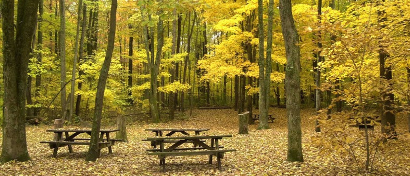 John Bryan State Park_h