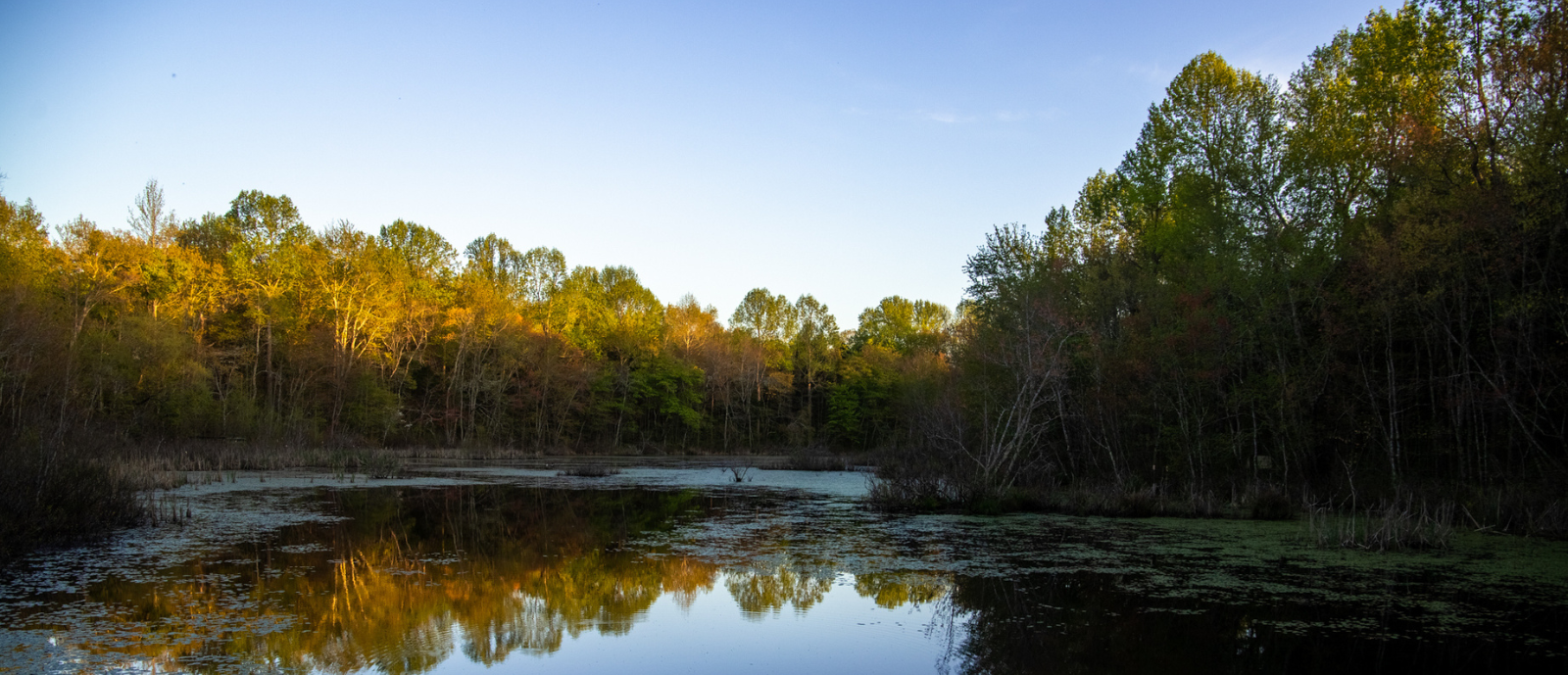 Mammoth Cave National Park_h