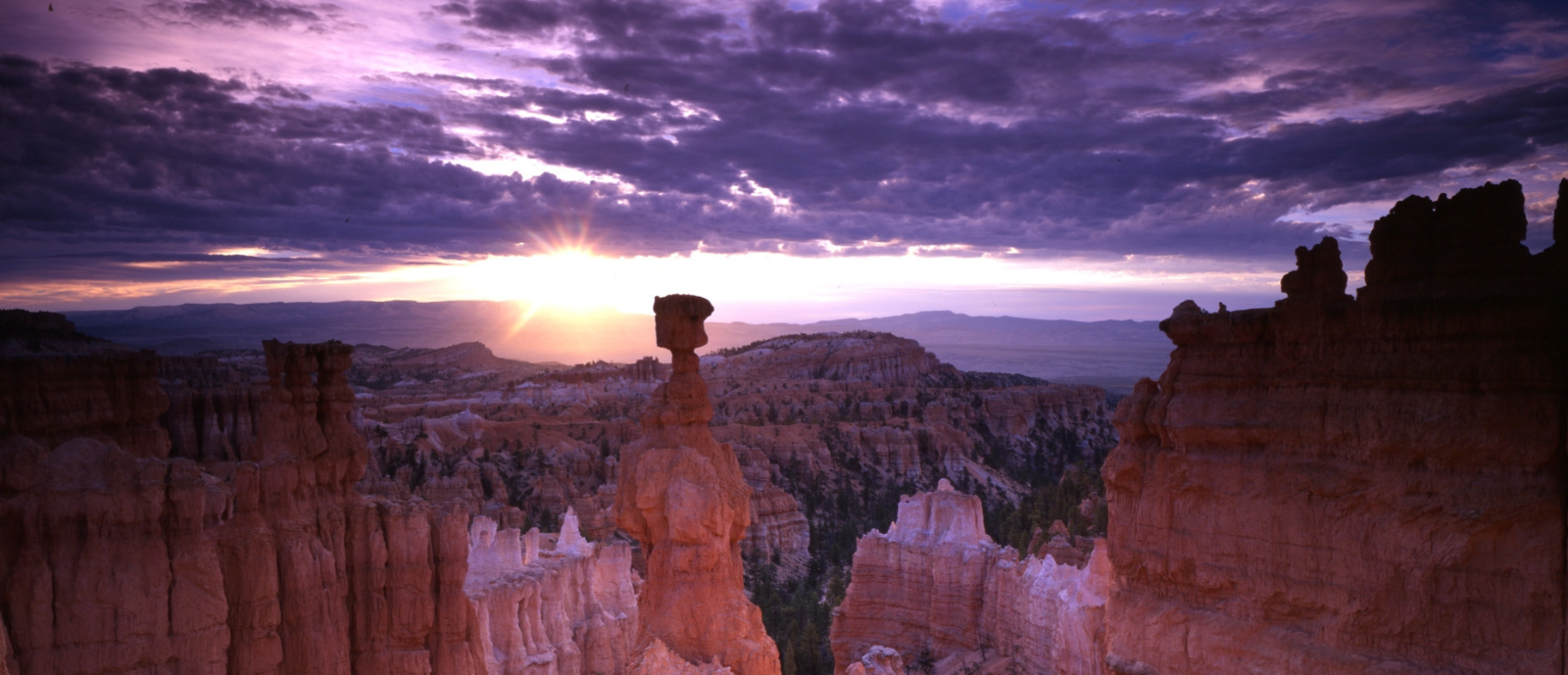 Bryce Canyon National Park_h