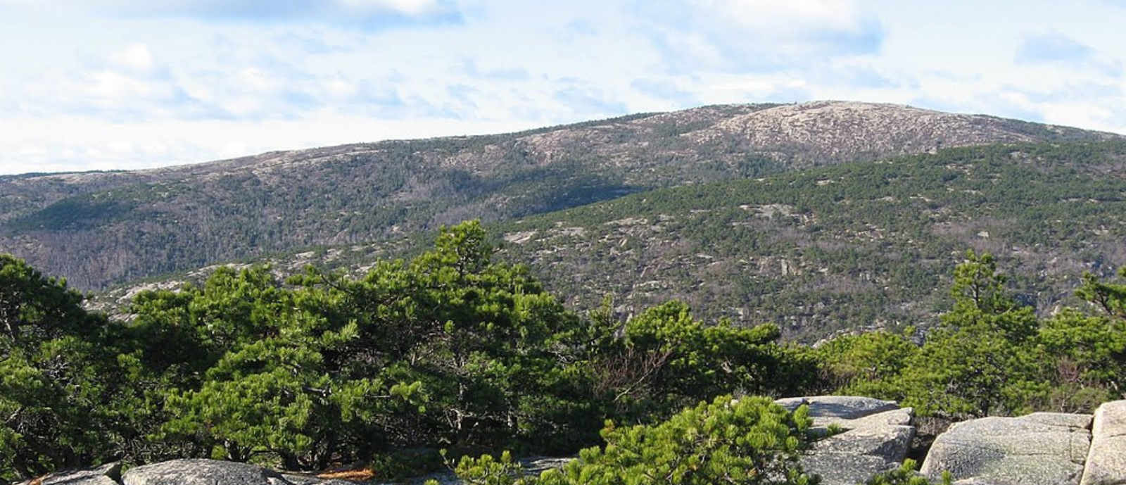 Cadillac Mountain_h