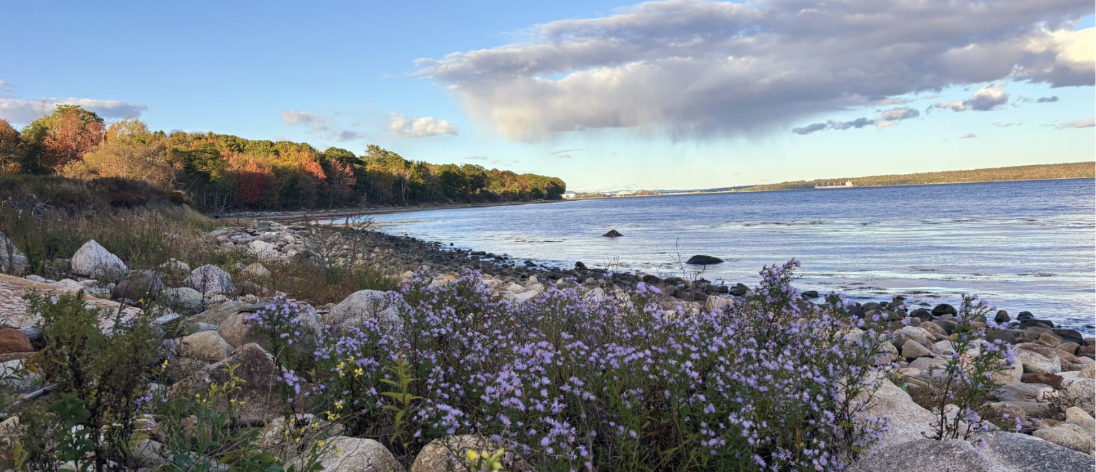 Moose Point State Park_h
