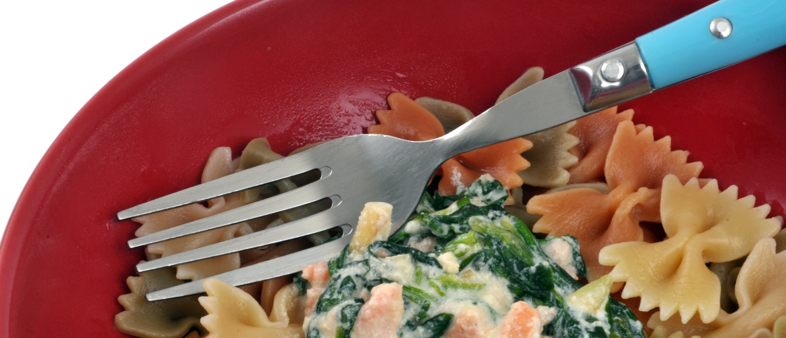 Bowtie Pasta_h