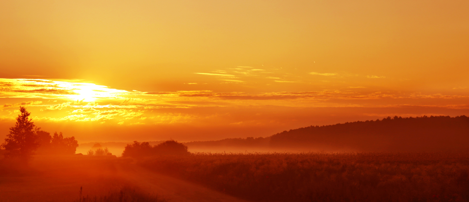 Sunrise_h