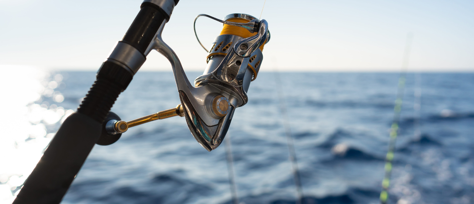 Fishing Line_h 