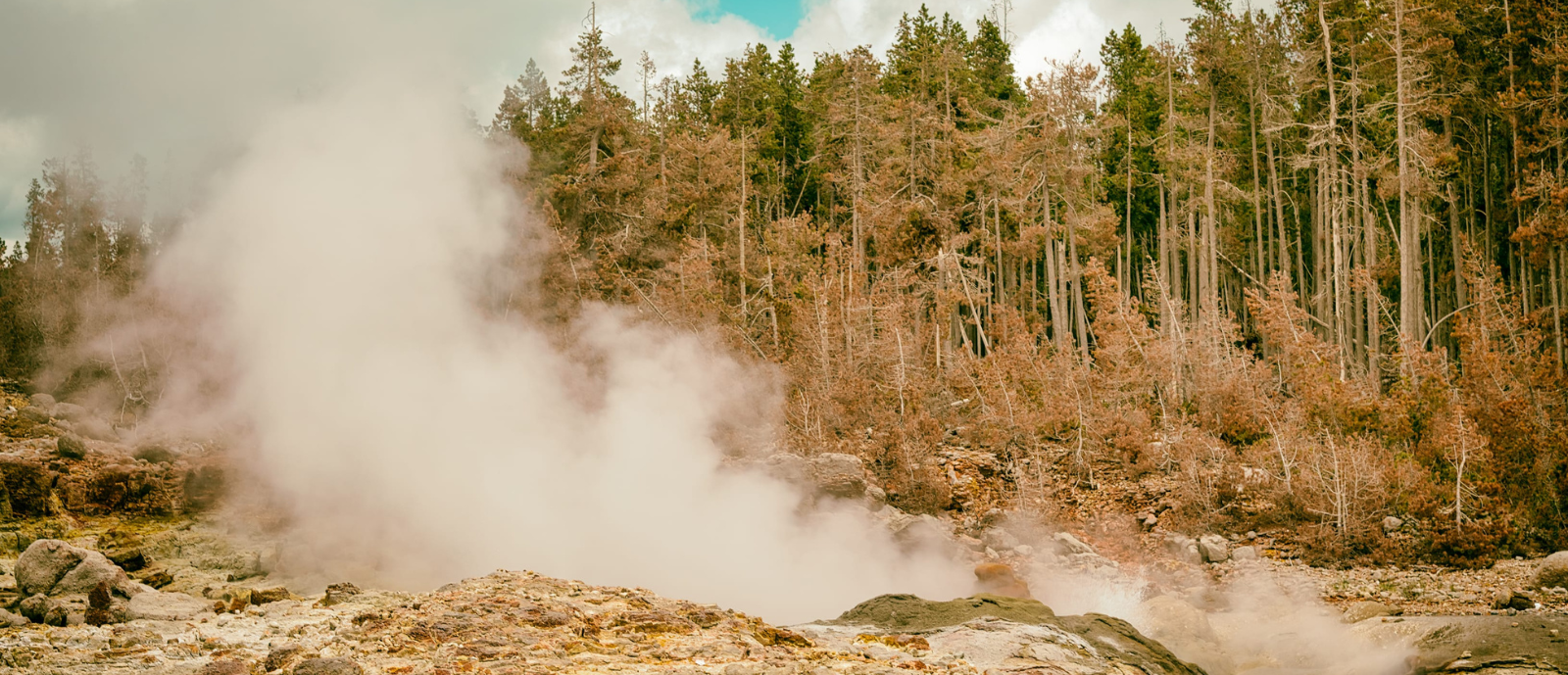 Yellowstone_h