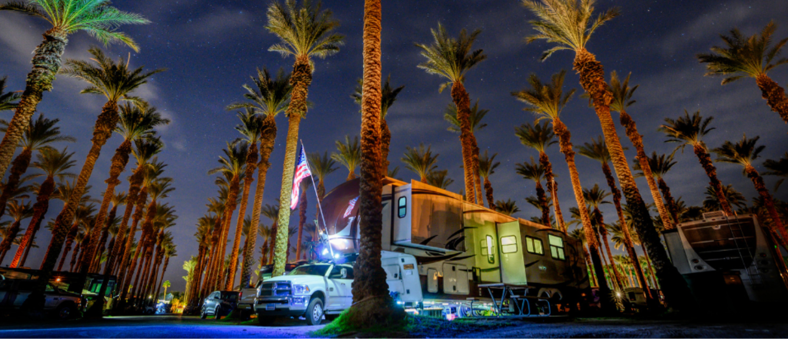 Towable RV & Palm Trees_h 