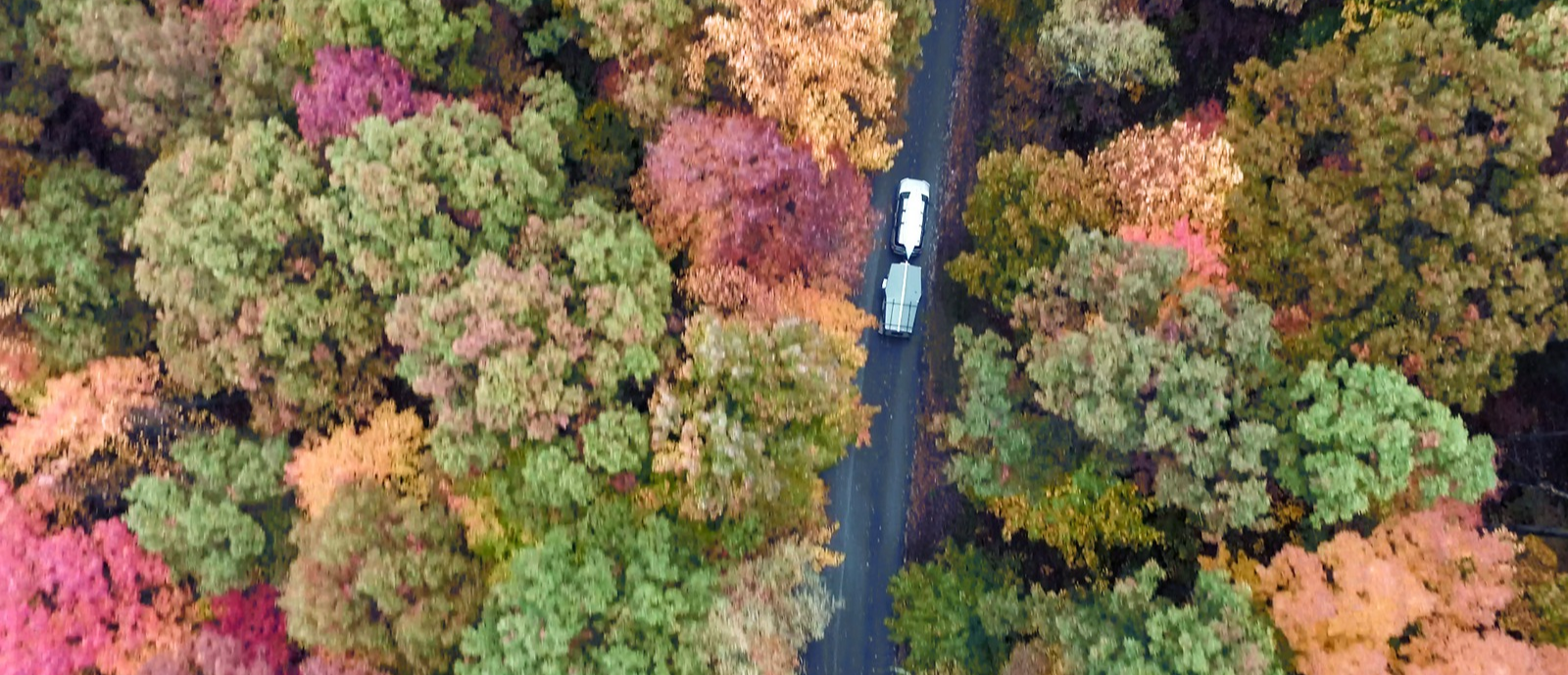 Fall_h