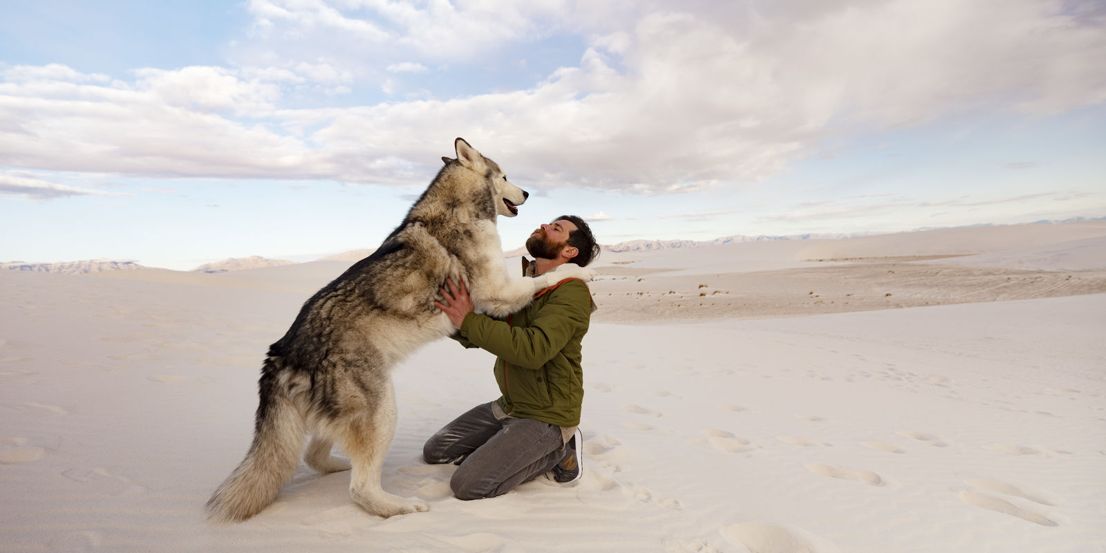 Furry Friends topic landing