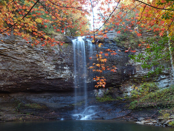 Cloudland Canyon State Park