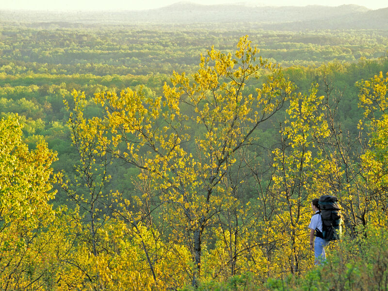 F.D. Roosevelt State Park