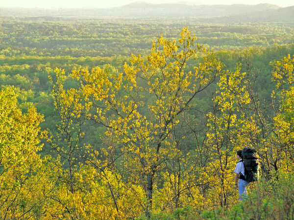 F.D. Roosevelt State Park