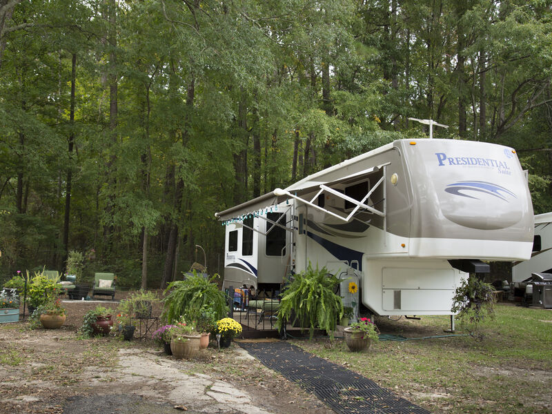 Fifth wheel in the forest