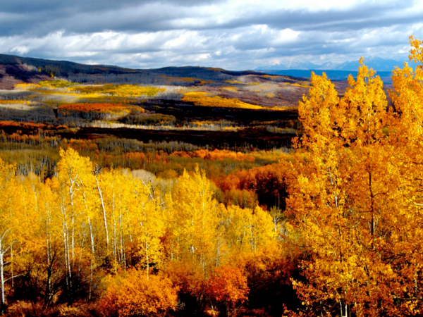 Grand Mesa Scenic Byway