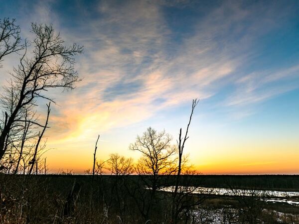 Great Marsh