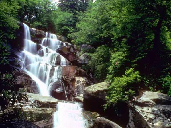 Great Smoky Mountains National Park