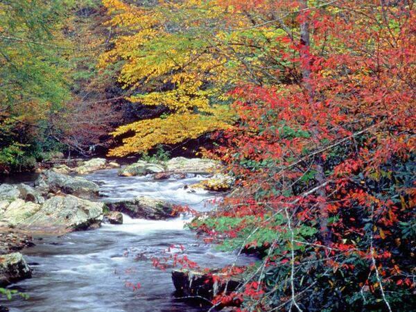 Great Smoky Mountains National Park