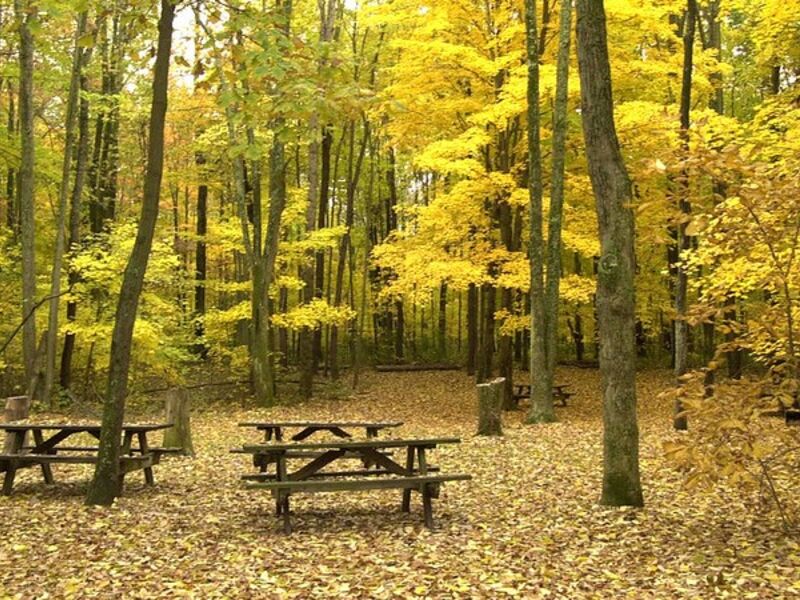 John Bryan State Park