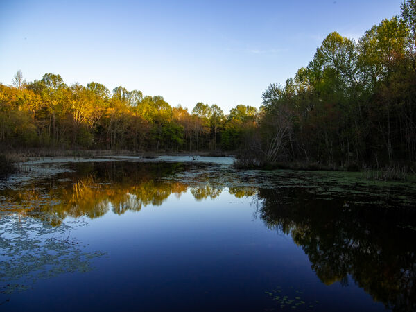 Mammoth Cave National Park