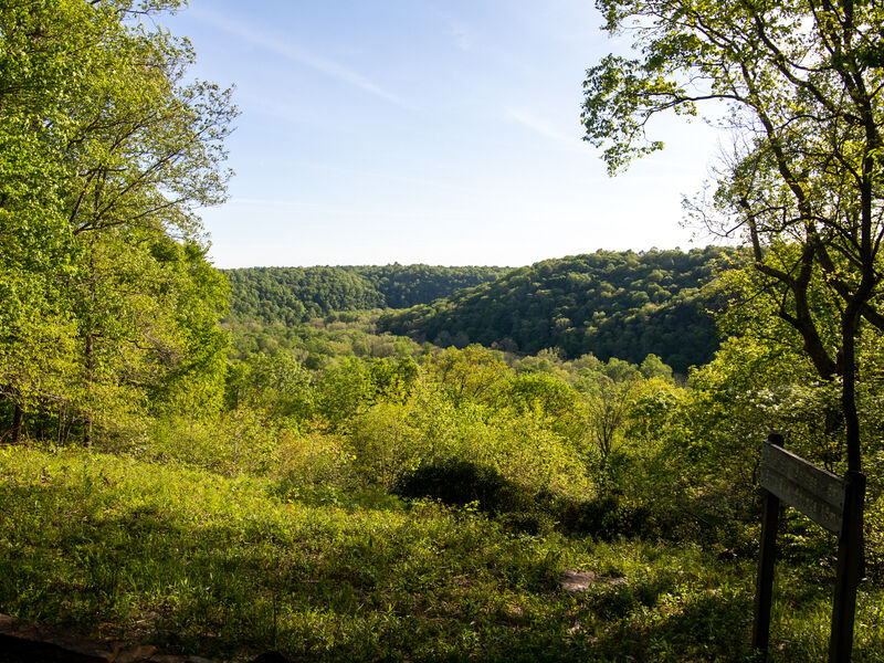 Mammoth Cave National Park
