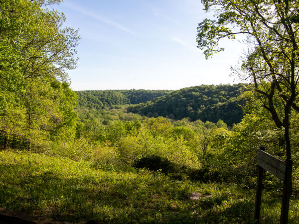 Mammoth Cave National Park