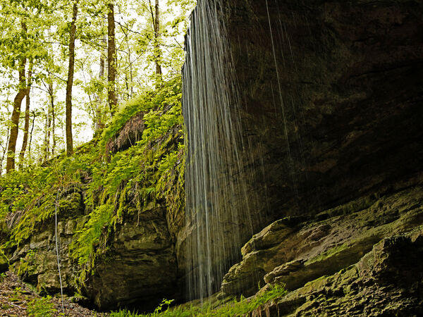 Mammoth Cave National Park