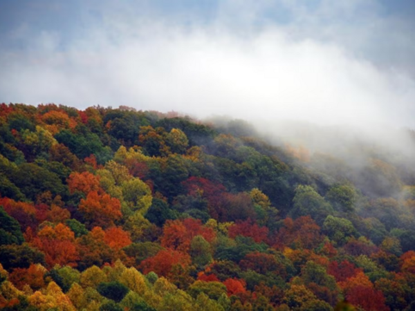 Monte Sano State Park