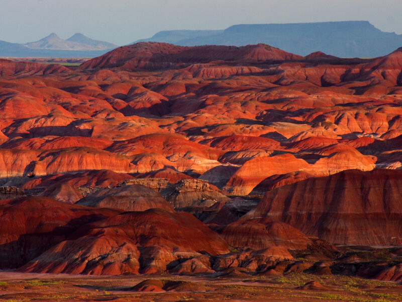 Petrified Forest National Wilderness