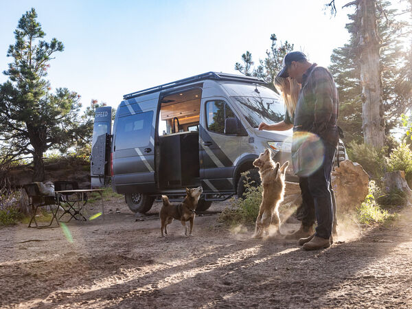 RV travelers spend some time playing with furry friends.