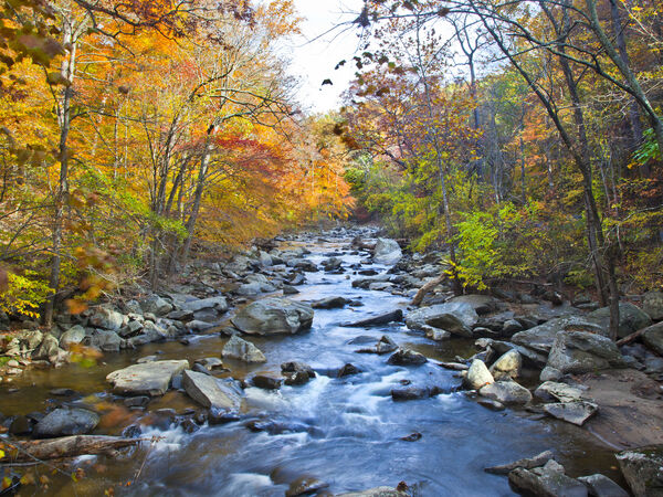 Rock Creek Park
