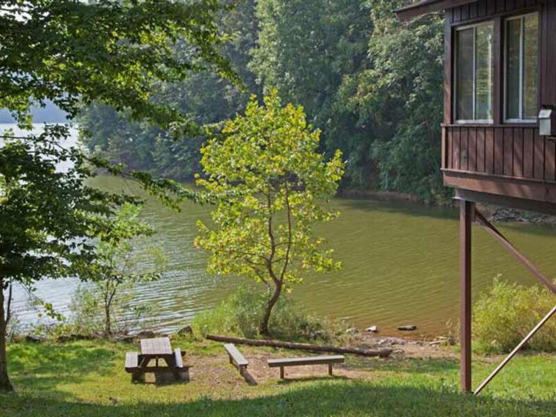 Salt-Fork