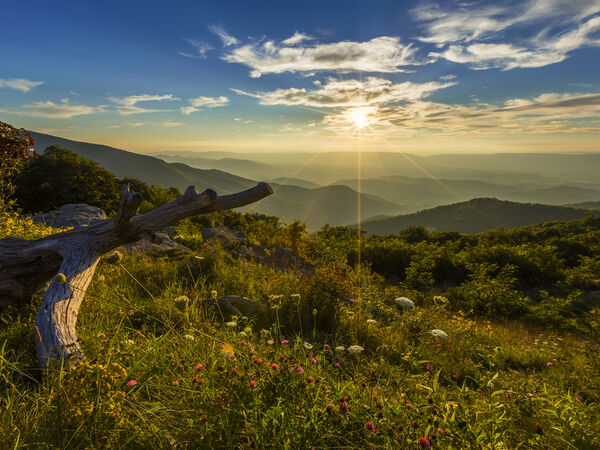 Shenandoah National Park