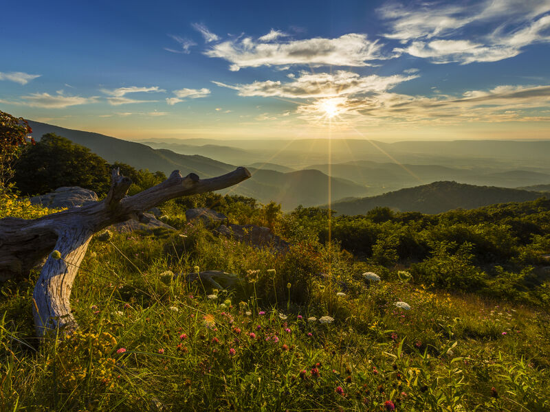 Shenandoah National Park