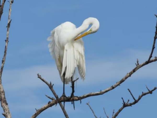 Terra Ceia Preserve State Park