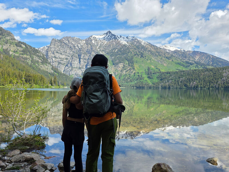 Bronnekes at Grand Teton National Park