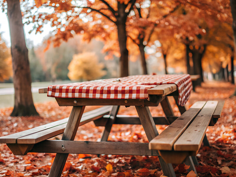 Picnic table with fall background