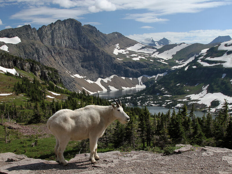 Glacier National Park