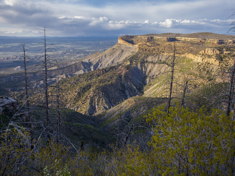Mesa Verde National Park