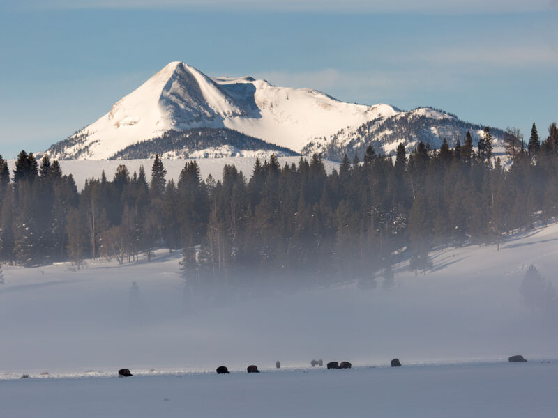 Yellowstone