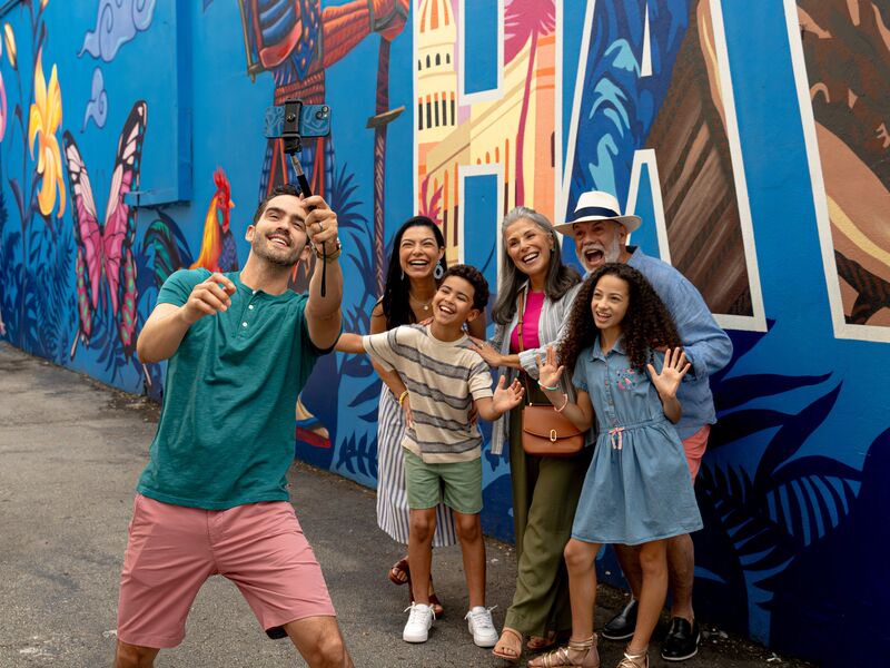 Little Havana Mural 