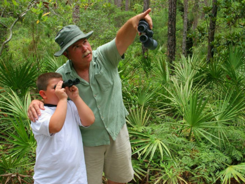 Birding on Dauphin Island_Credit to Visit Coastal Alabama