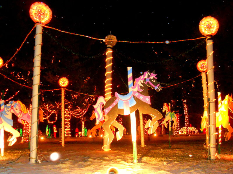 Caledonia Christmas Carnival of lights horses